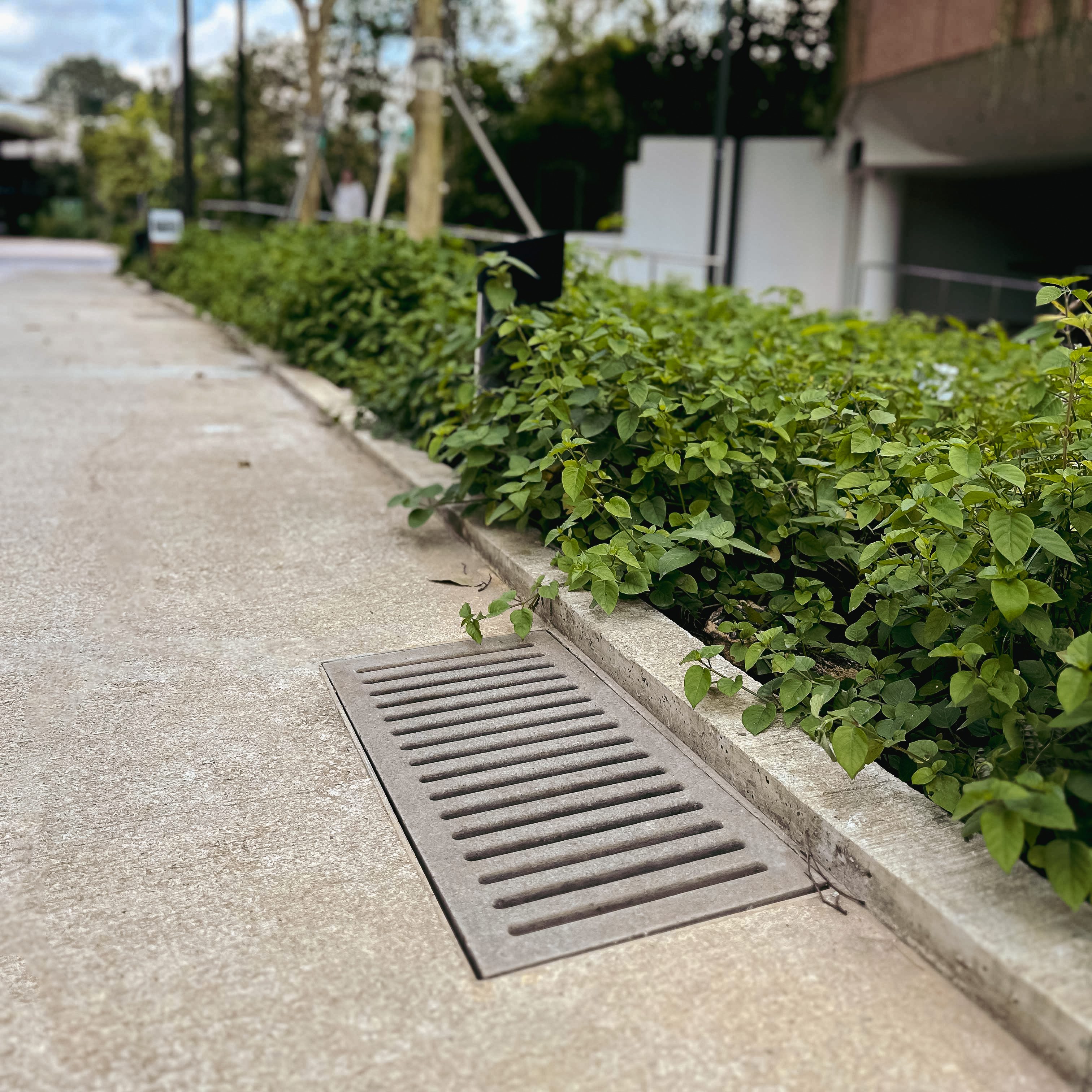 Rainforest Wild Asia, Singapore Project | Jonite Case Studies | Jonite