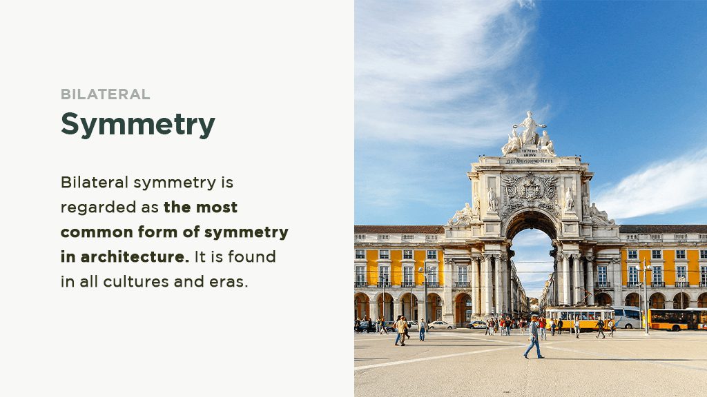 02-Bilateral-Symmetry-Mirror-Symmetry