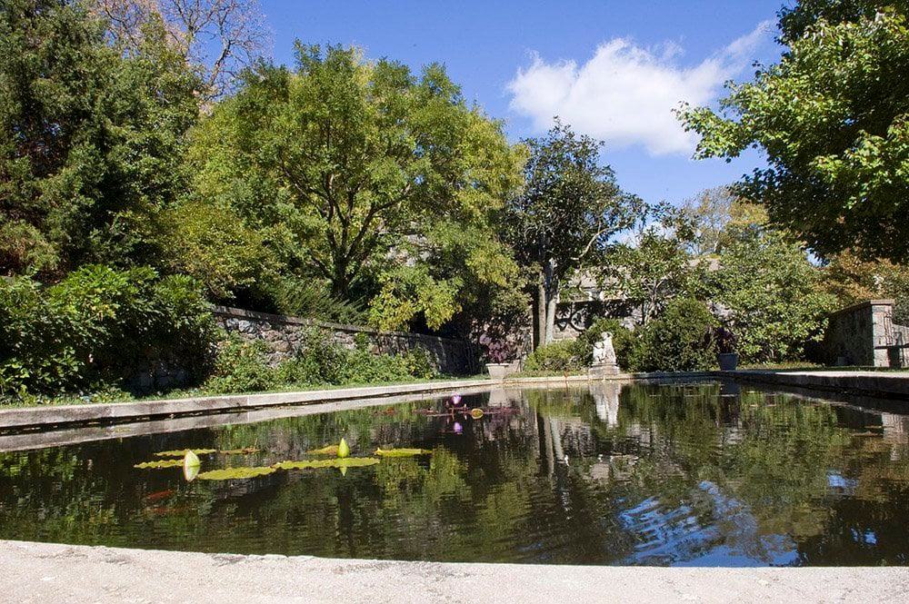 pool in the gardens of Gibraltar