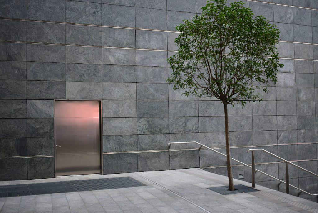 Modern tree with tree grate