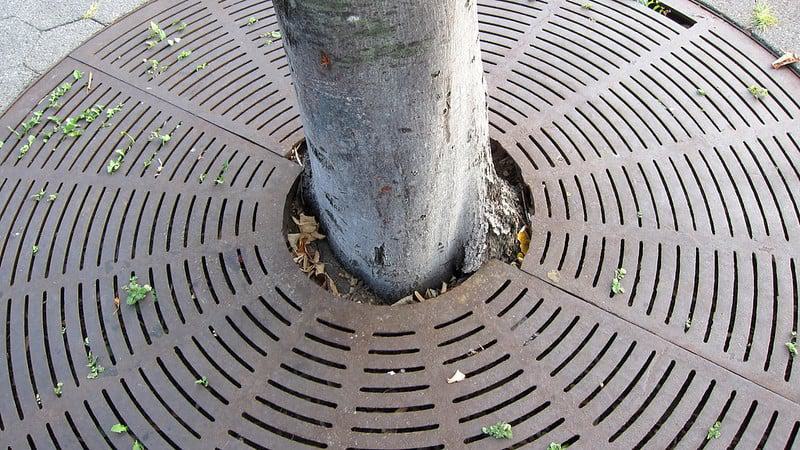 Cast Iron Tree Grate Hudson Park