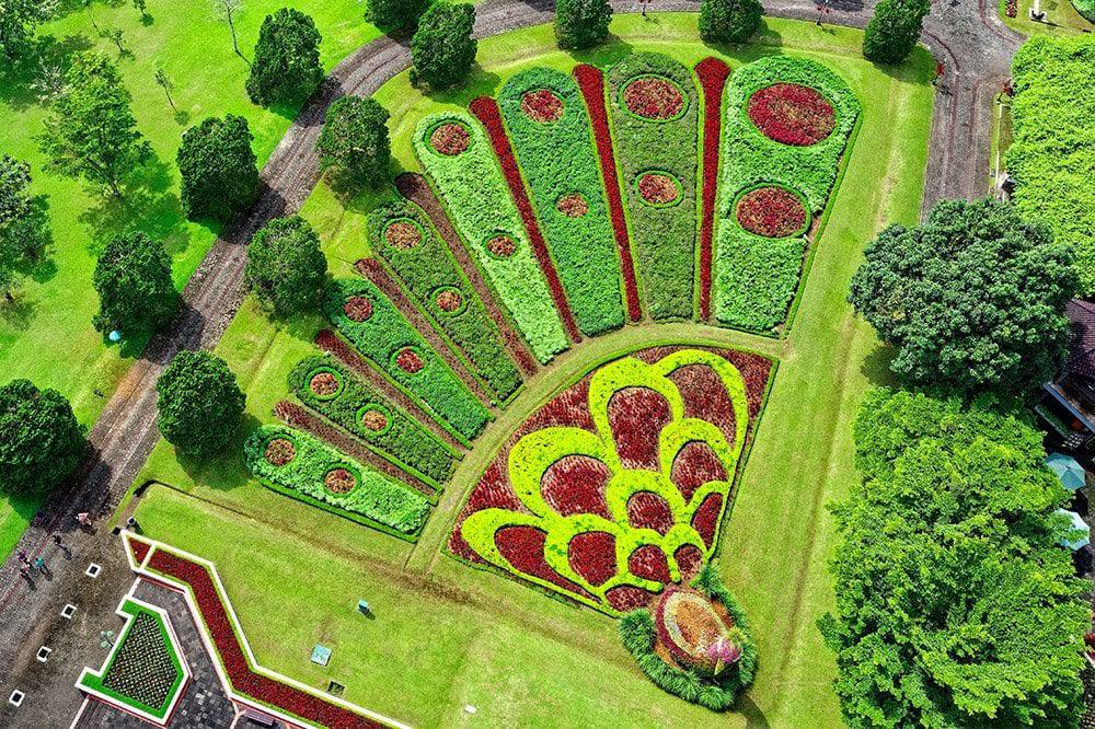 Peacock Landscape Design