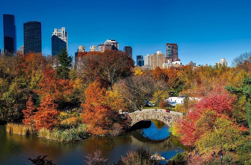 Central park