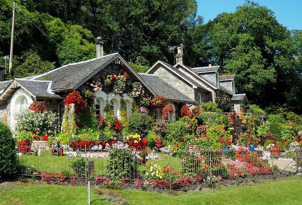 house with plants