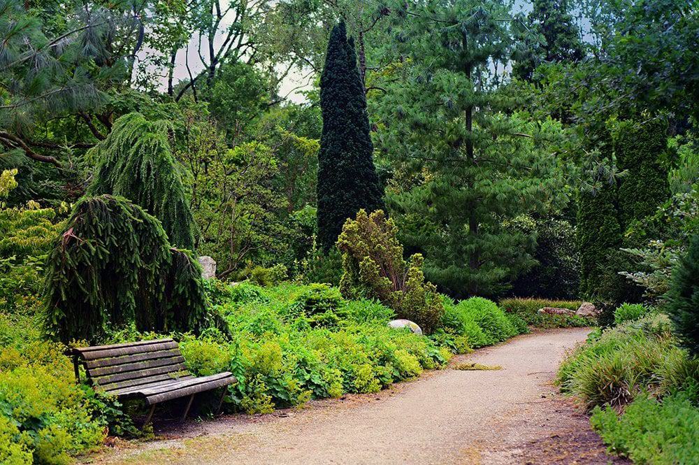 pathways with plants