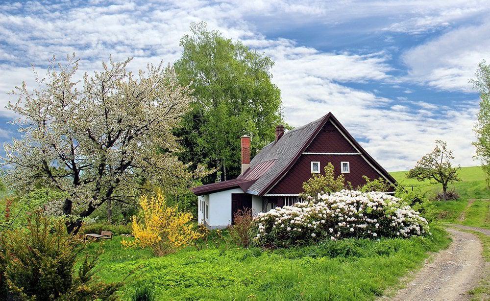 lawns and flowers around house
