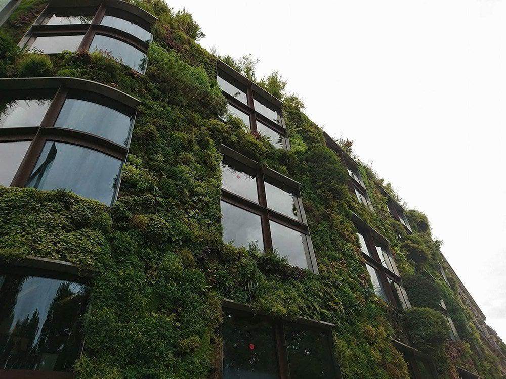 vertical garden around exterior of building